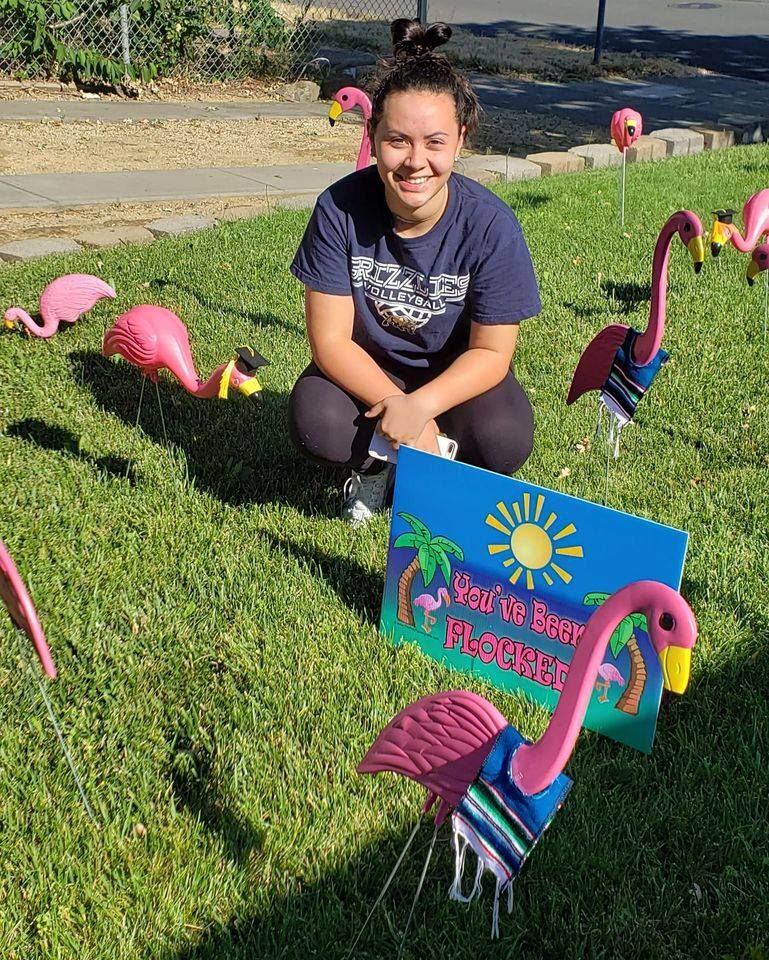 The Fancy Flamingo